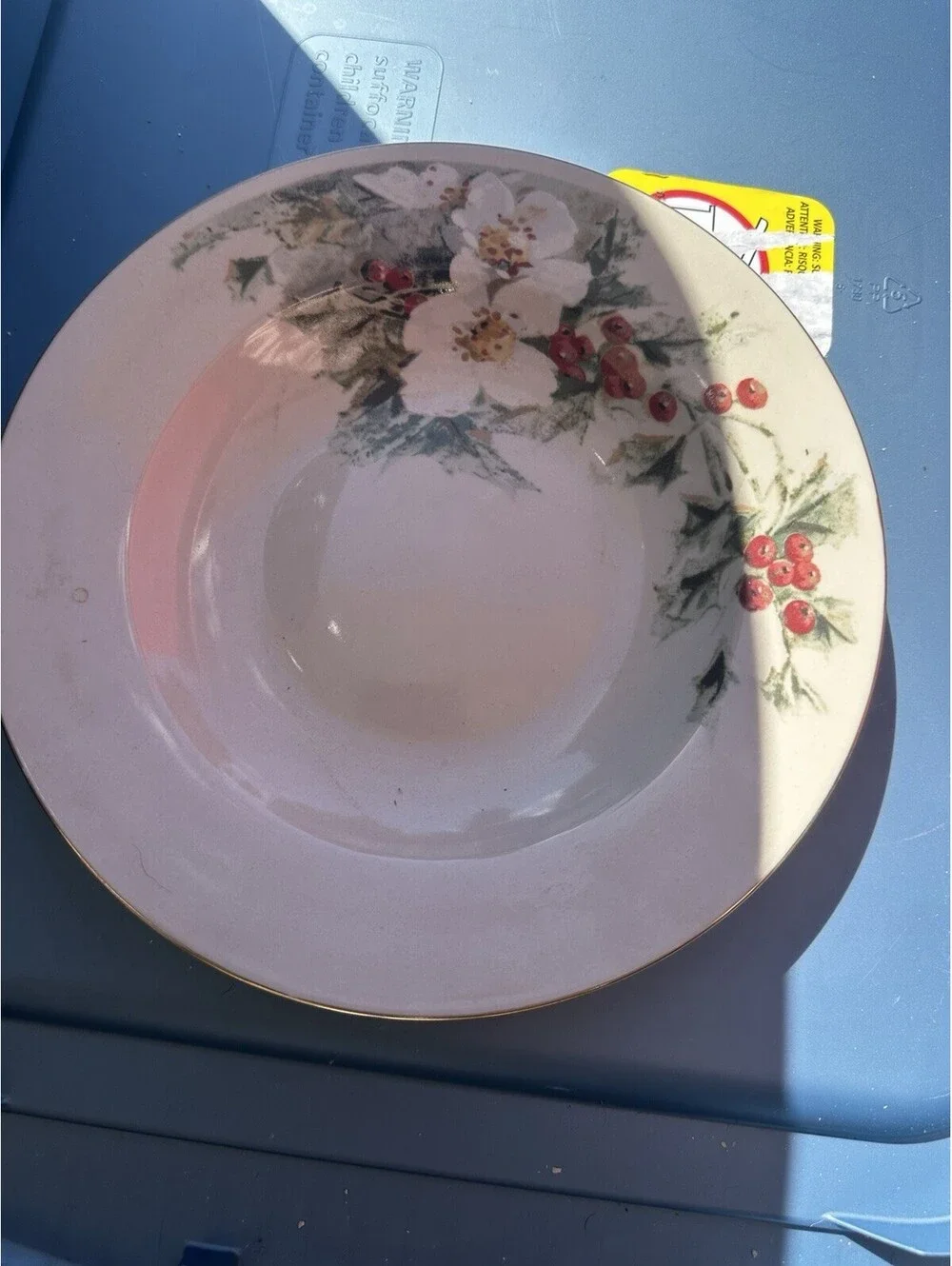 Gibson Floral China 4-Piece Place Setting: Dinner/Salad Plate, Cup & Saucer